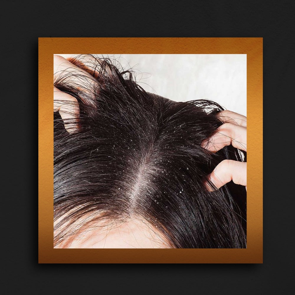 ISHNA SRIKESH HAIR OIL