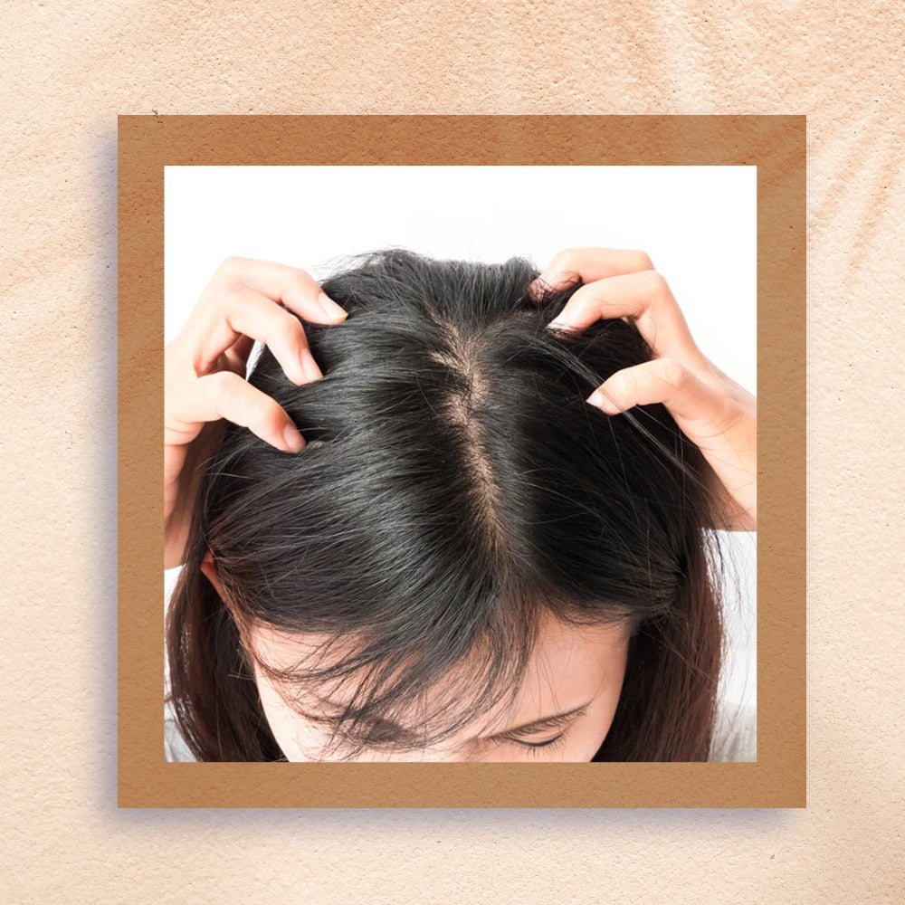 Ishna Natural Henna Powder