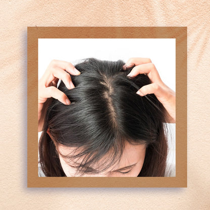 Ishna Natural Henna Powder